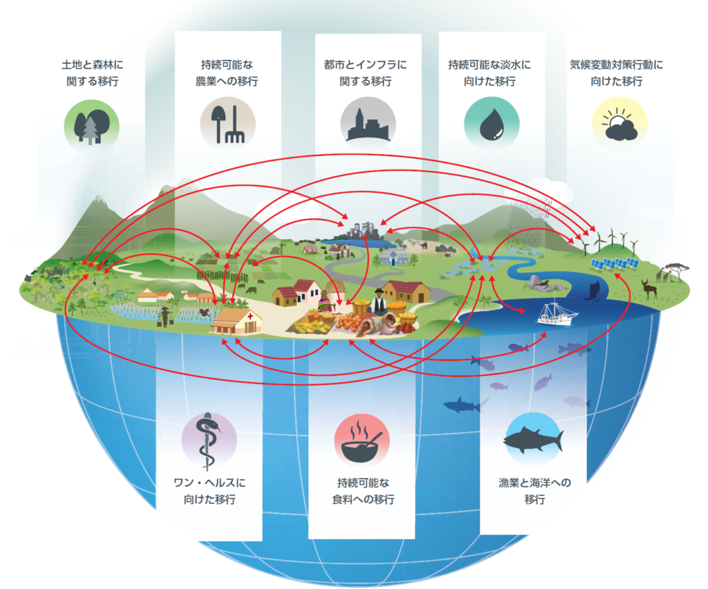2030年世界目標:生物多様性の損失を止め、回復軌道へ - EFI Japan